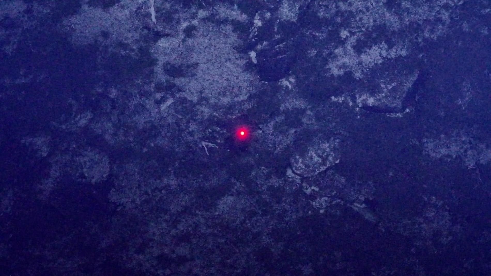 Drone AI Temukan Dua Pendaki Hilang dalam 5 Jam di Snowy Mountains
