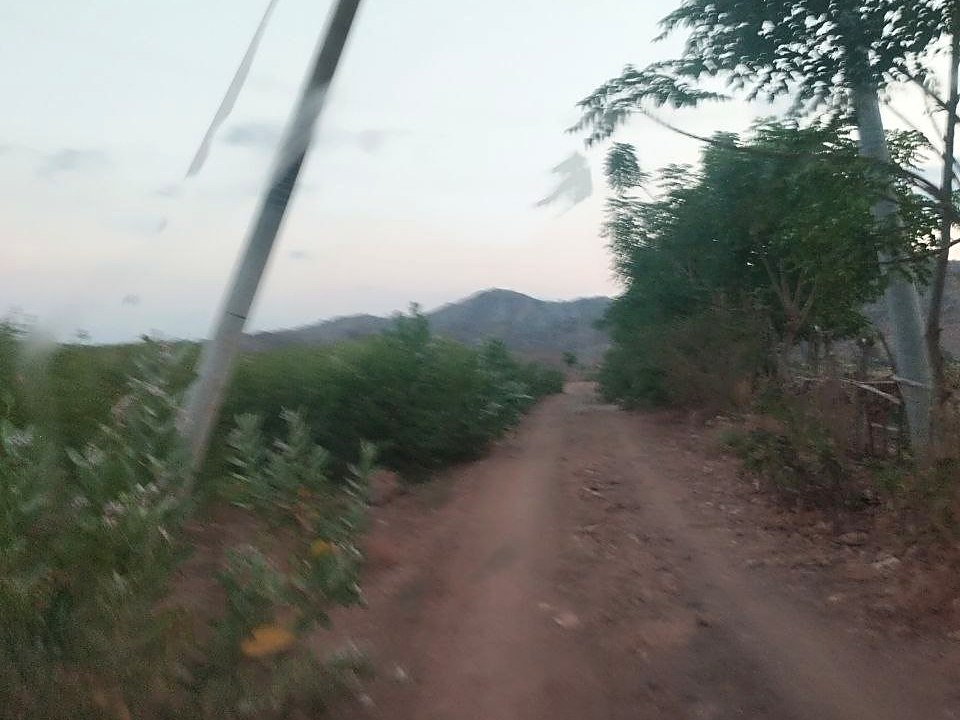 Jalan tanah berdebu dengan tiang yang miring di Makipaket, Mbay II, Nagekeo